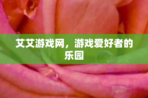 游戏爱好者的乐园图片