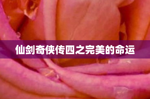 仙剑奇侠传四之完美的命运图片