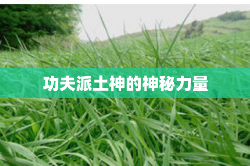 功夫派土神的神秘力量图片