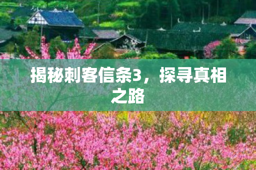 揭秘刺客信条3图片