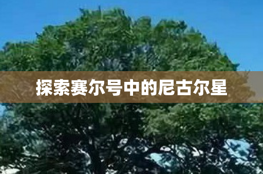 探索赛尔号中的尼古尔星图片