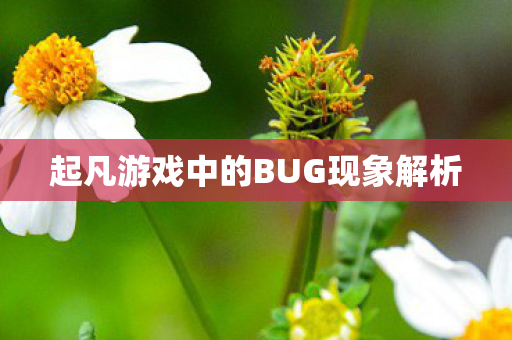 起凡游戏中的BUG现象解析图片