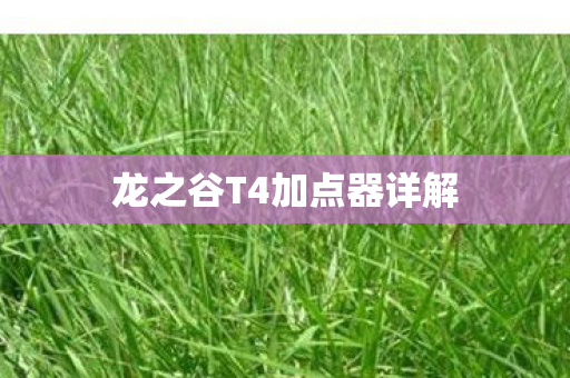 龙之谷T4加点器详解图片