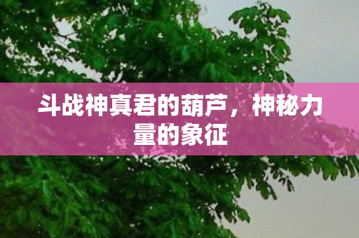 斗战神真君的葫芦图片