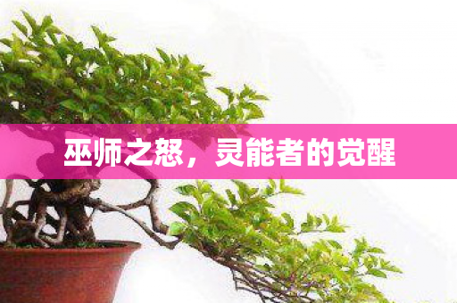 灵能者的觉醒图片