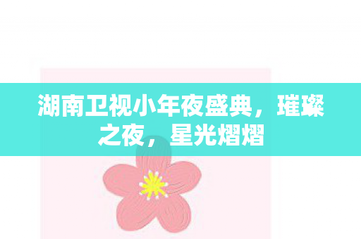 湖南卫视小年夜盛典图片