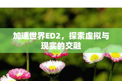 探索虚拟与现实的交融图片