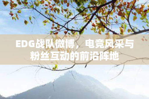 电竞风采与粉丝互动的前沿阵地图片