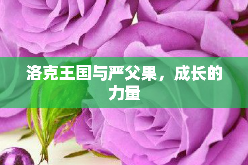 洛克王国与严父果图片
