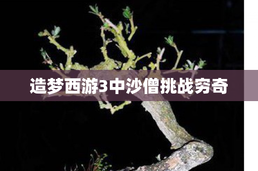 造梦西游3中沙僧挑战穷奇图片