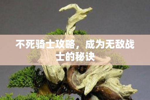 成为无敌战士的秘诀图片