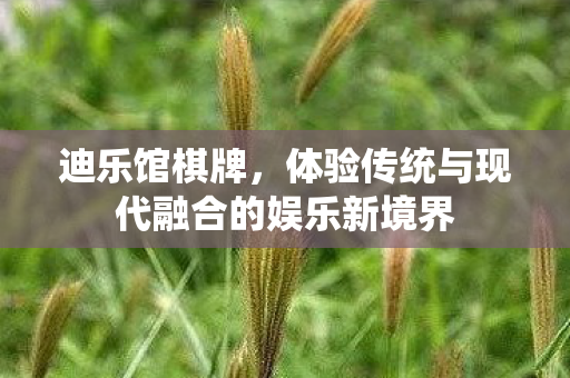 体验传统与现代融合的娱乐新境界图片