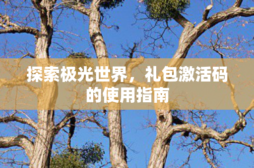 礼包激活码的使用指南图片