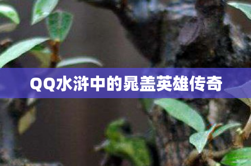 QQ水浒中的晁盖英雄传奇图片