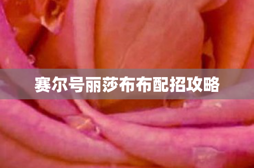 赛尔号丽莎布布配招攻略图片