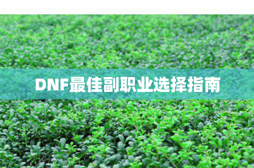 DNF最佳副职业选择指南图片