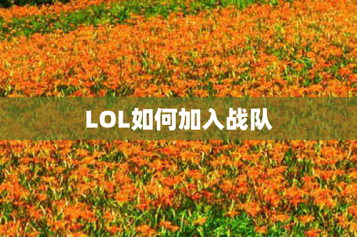 LOL如何加入战队图片