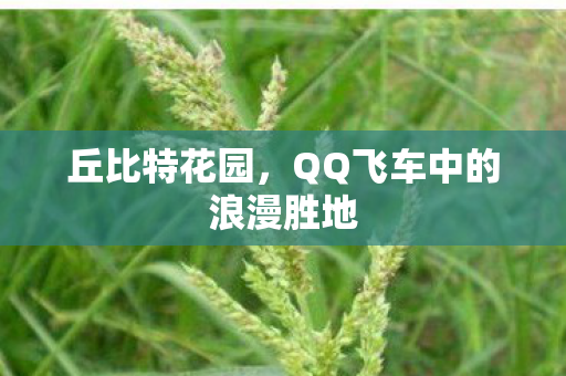 QQ飞车中的浪漫胜地图片