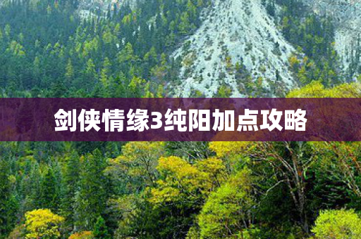 剑侠情缘3纯阳加点攻略图片