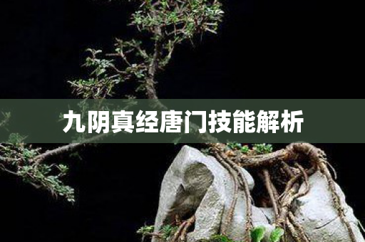 九阴真经唐门技能解析图片