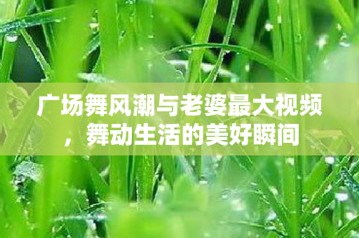 广场舞风潮与老婆最大视频图片