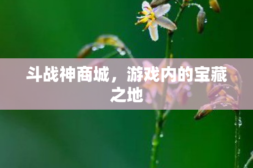 游戏内的宝藏之地图片