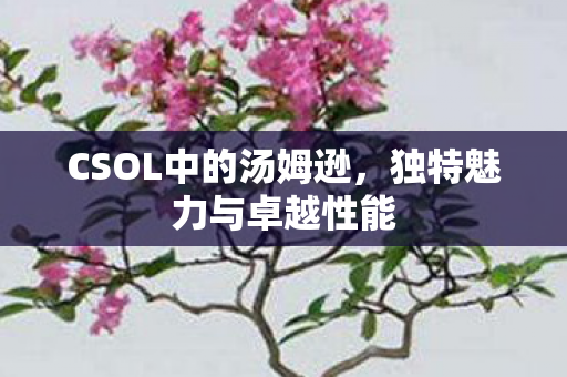 CSOL中的汤姆逊图片