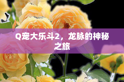 龙脉的神秘之旅图片