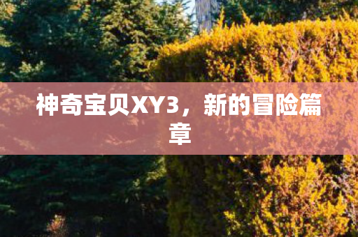 神奇宝贝XY3图片
