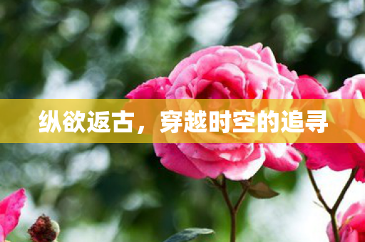 穿越时空的追寻图片