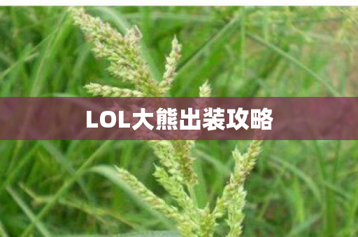 LOL大熊出装攻略图片