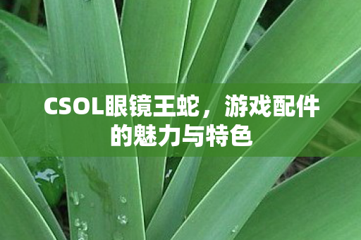 游戏配件的魅力与特色图片