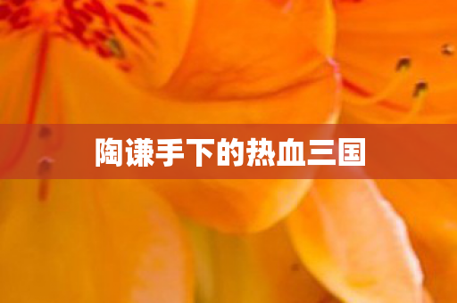陶谦手下的热血三国图片