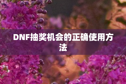 DNF抽奖机会的正确使用方法图片