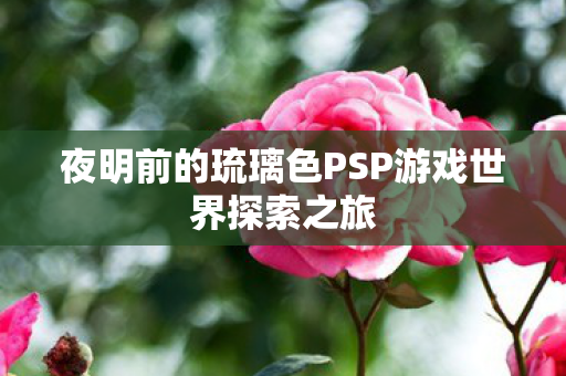 夜明前的琉璃色PSP游戏世界探索之旅图片