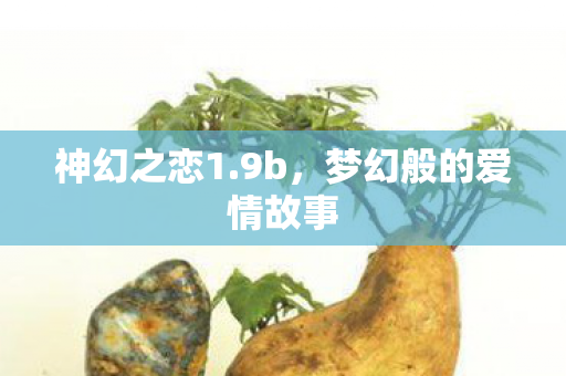 梦幻般的爱情故事图片