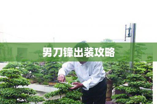 男刀锋出装攻略图片