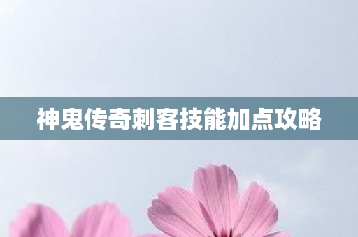 神鬼传奇刺客技能加点攻略图片