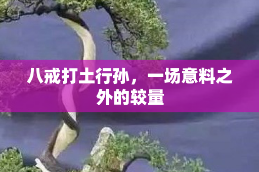 一场意料之外的较量图片