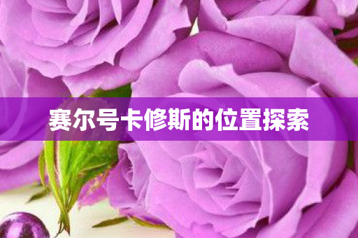 赛尔号卡修斯的位置探索图片