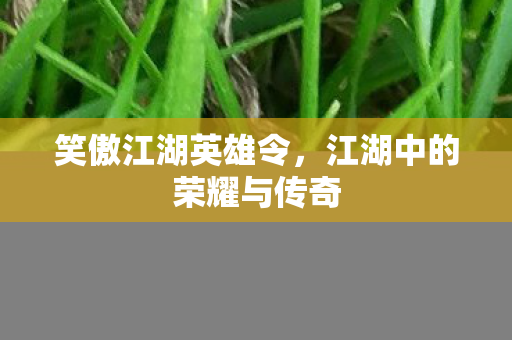 江湖中的荣耀与传奇图片