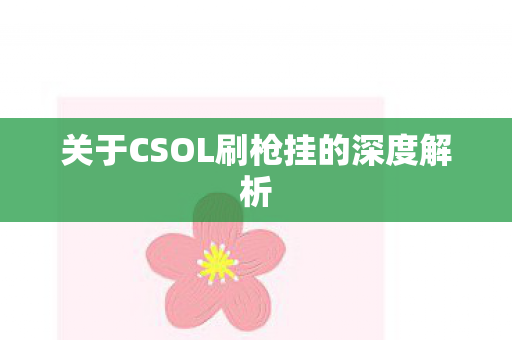 关于CSOL刷枪挂的深度解析图片