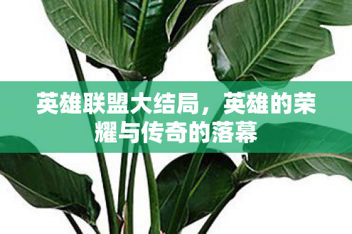 英雄的荣耀与传奇的落幕图片