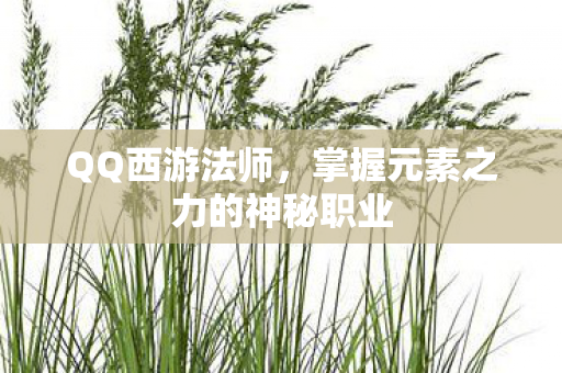 掌握元素之力的神秘职业图片