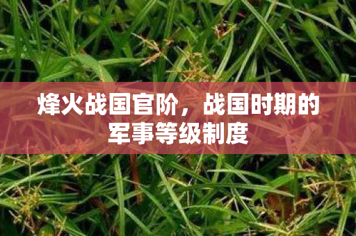 战国时期的军事等级制度图片
