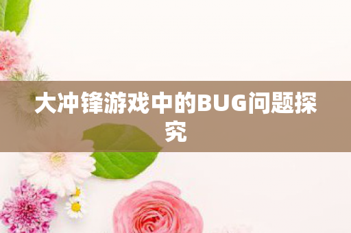 大冲锋游戏中的BUG问题探究图片