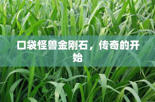 口袋怪兽金刚石图片