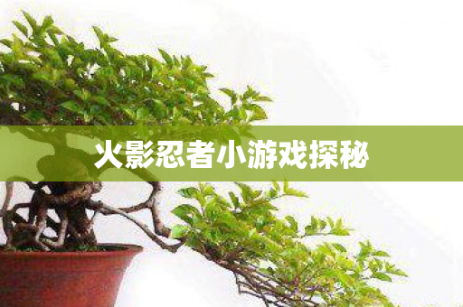 火影忍者小游戏探秘图片