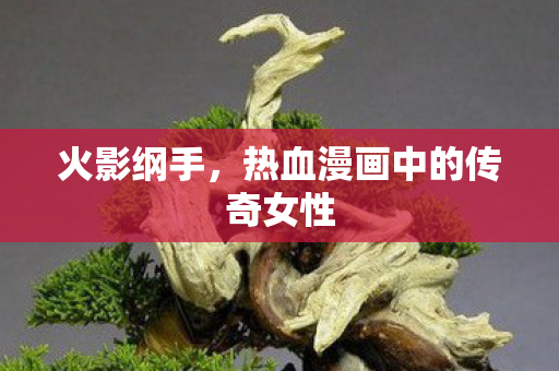 热血漫画中的传奇女性图片