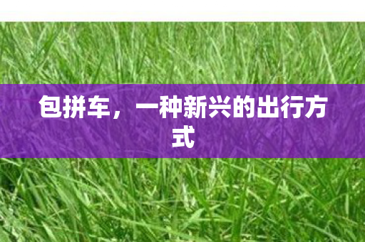 一种新兴的出行方式图片